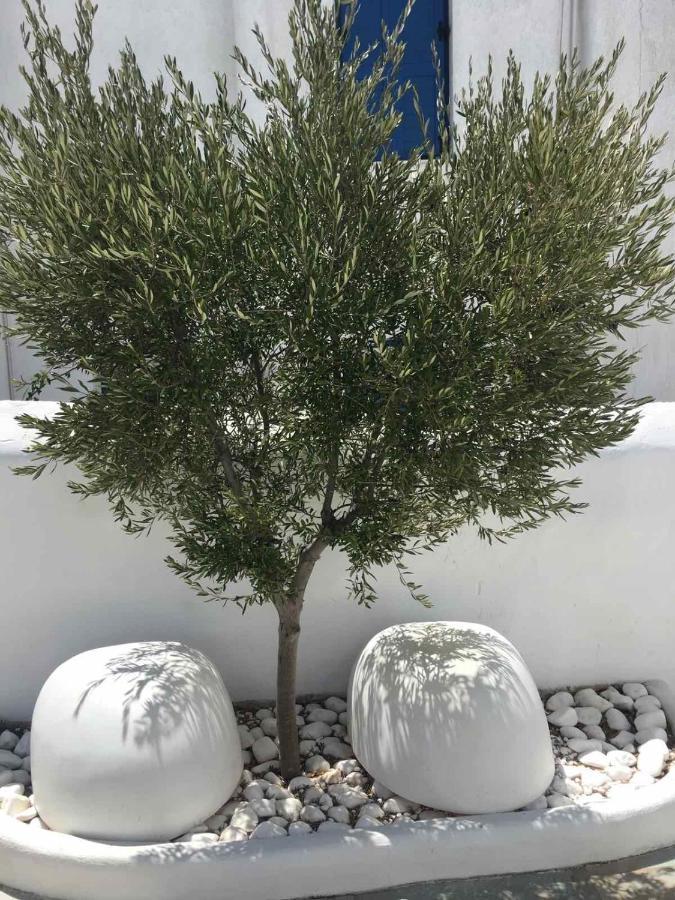 Myconian Sky Suites In Town Mykonos Town 外观 照片