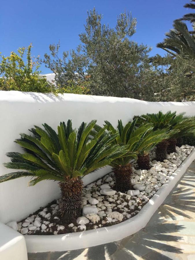 Myconian Sky Suites In Town Mykonos Town 外观 照片